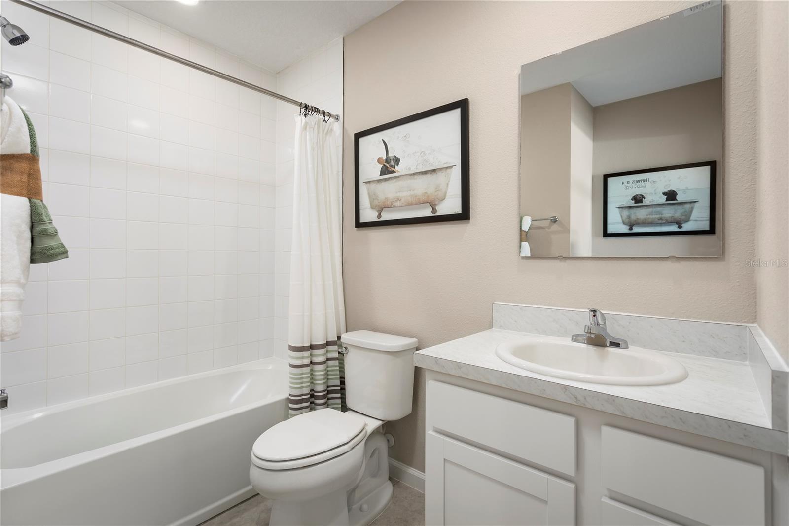 11437 Spectacled Dr Property Photo 4