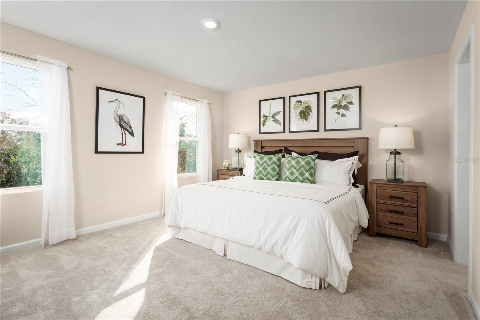 11437 Spectacled Dr Property Photo 5
