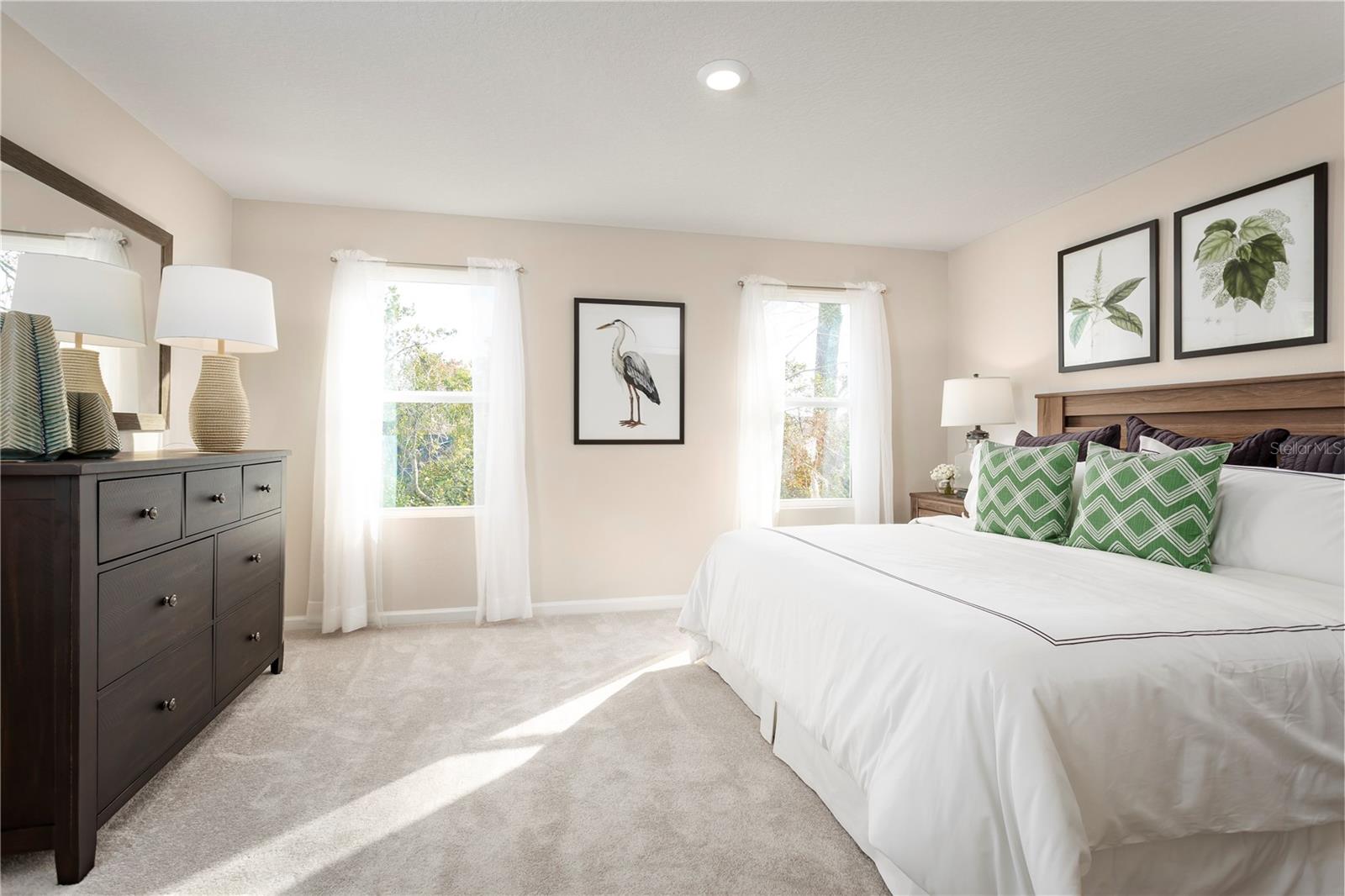 11437 Spectacled Dr Property Photo 6