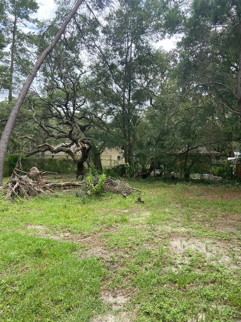 0 Hilltop Dr Property Photo 10