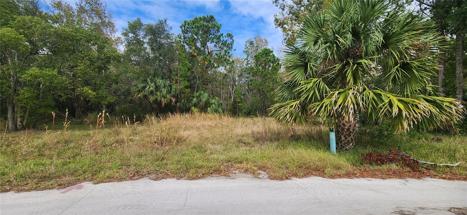 Lot 285 Cutlass Dr Property Photo 3