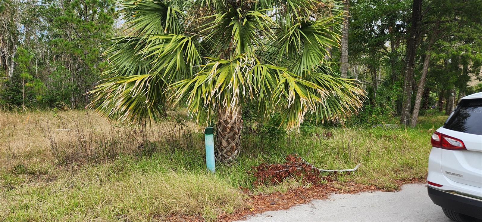 Lot 285 Cutlass Dr Property Photo 8