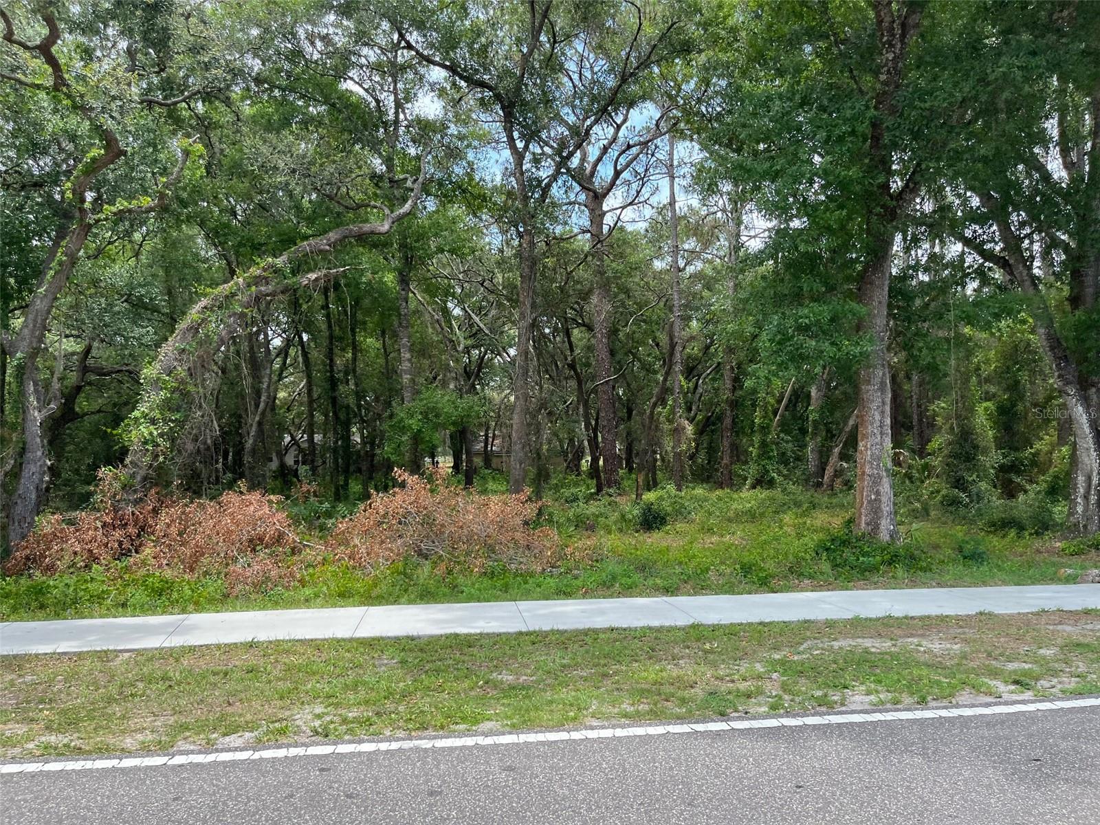 12120 Hicks Rd Property Photo 6