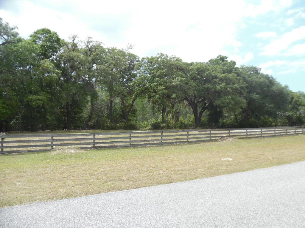 12303 Pasco Trails Blvd Property Photo 1