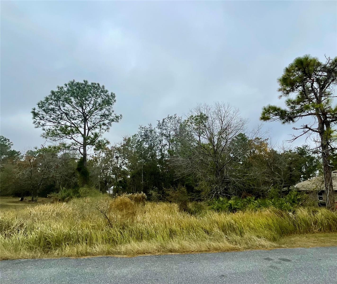 0 Golden Warbler Rd Property Photo 1