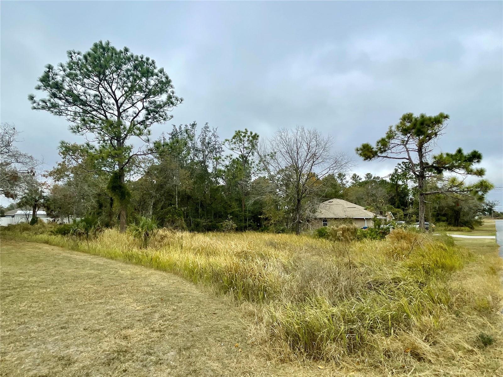 0 Golden Warbler Rd Property Photo 3