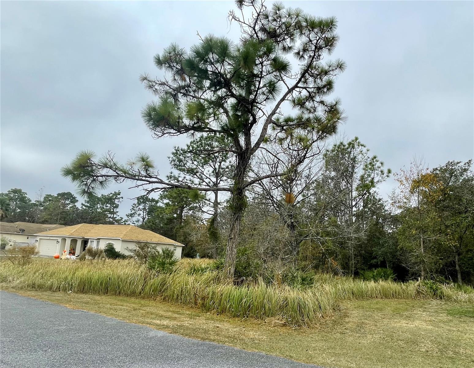 0 Golden Warbler Rd Property Photo 4