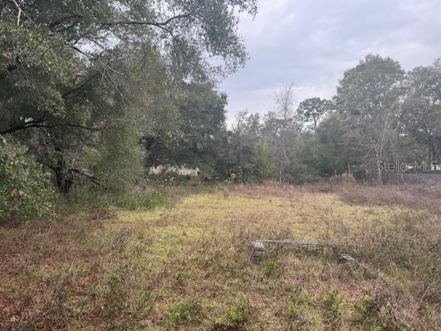 16472 Cortez Blvd Property Photo 15