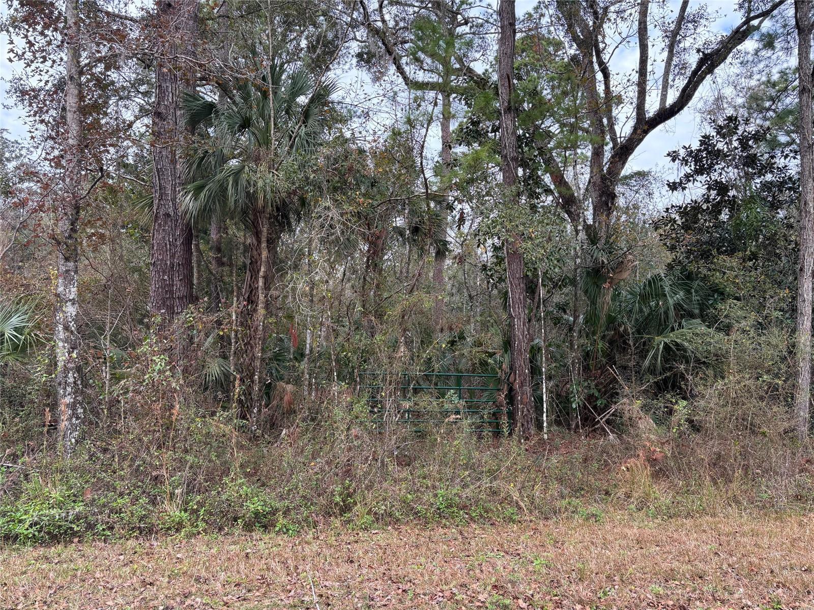 Lot 3 Carolina Dove Rd Property Photo 2