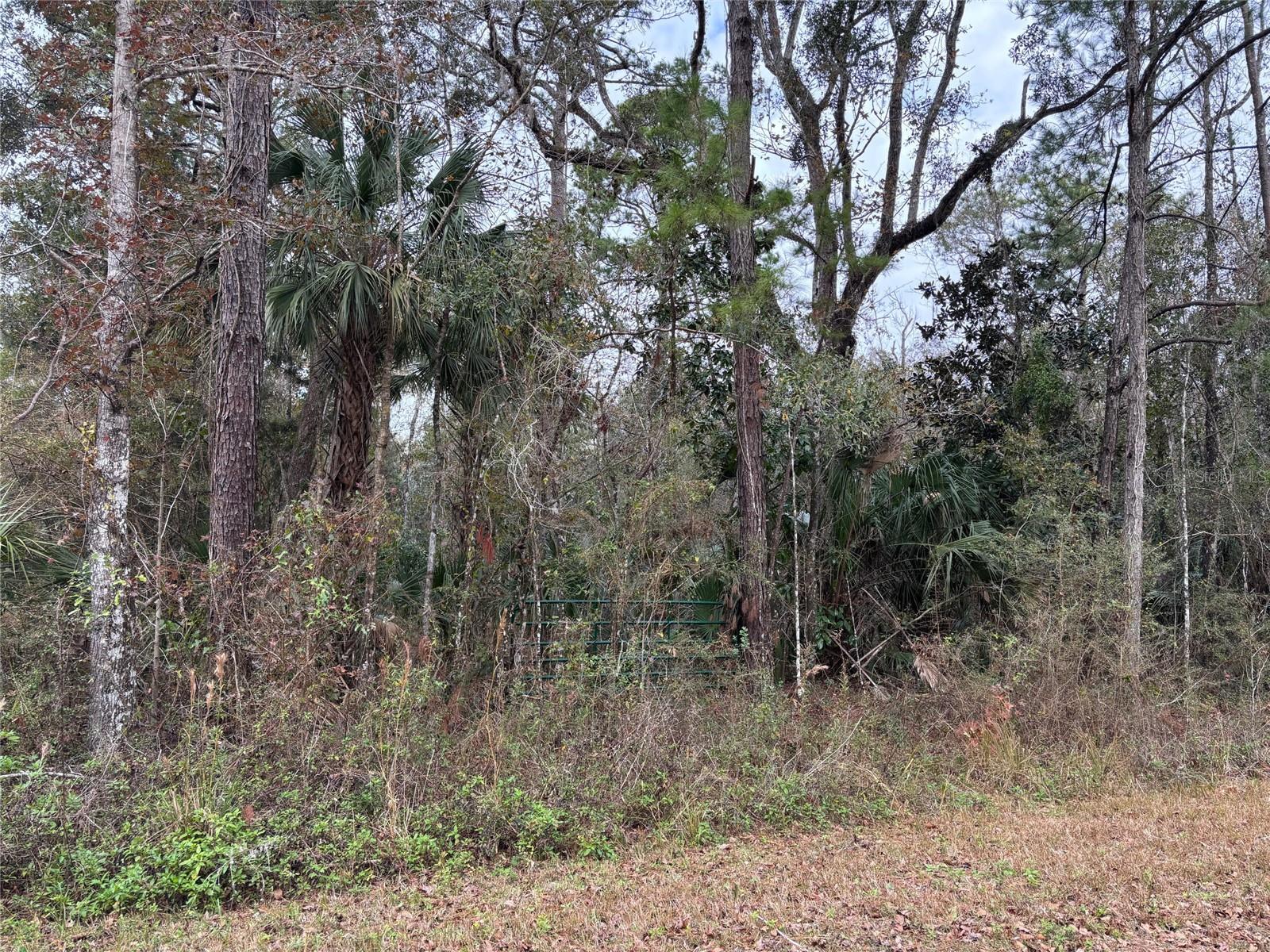 Lot 3 Carolina Dove Rd Property Photo 3