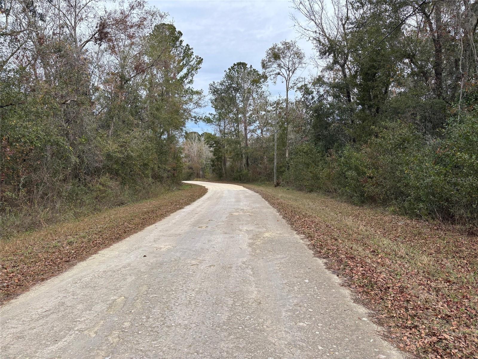 Lot 3 Carolina Dove Rd Property Photo 5