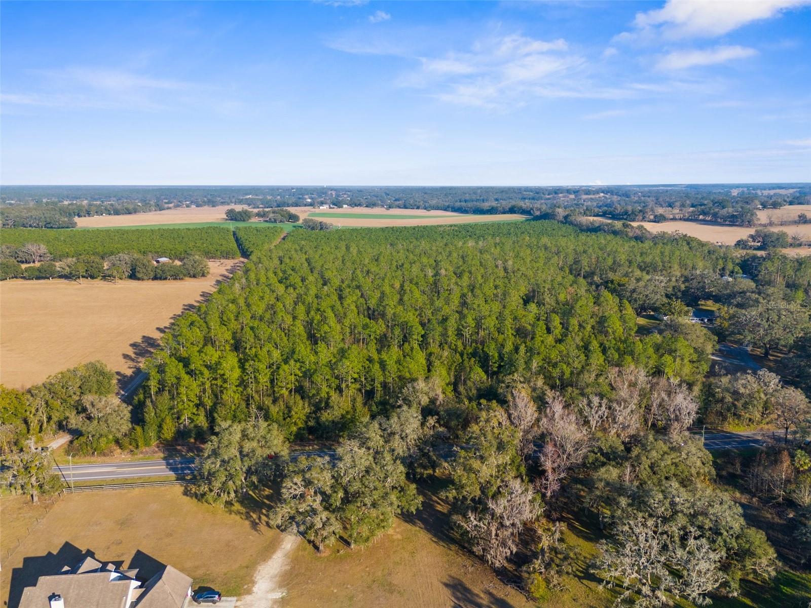 0 Spring Lake Hwy Property Photo 2
