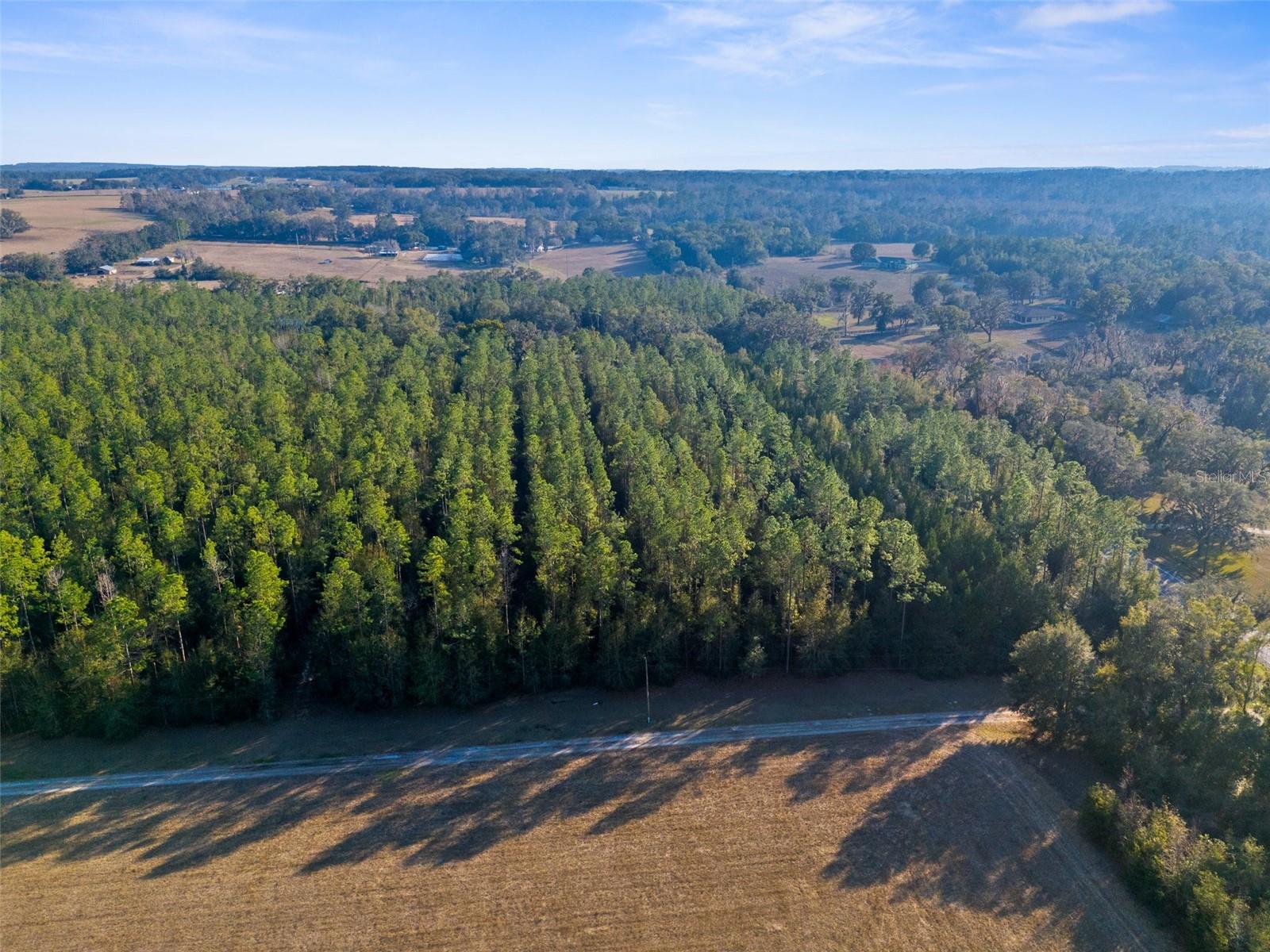0 Spring Lake Hwy Property Photo 8
