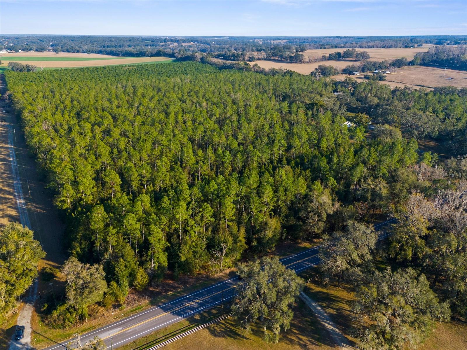 0 Spring Lake Hwy Property Photo 10