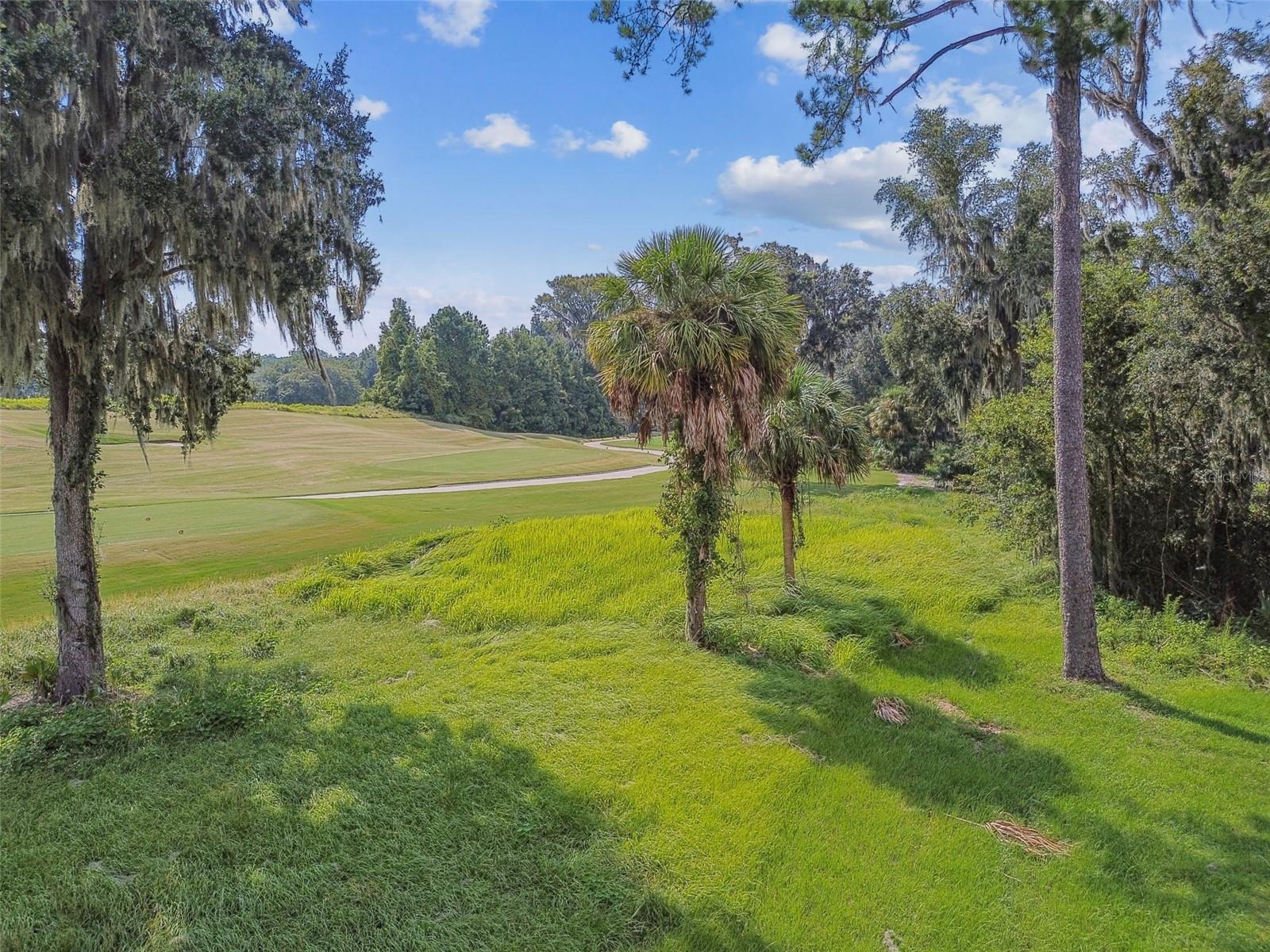 6470 Summit View Dr Property Photo 55