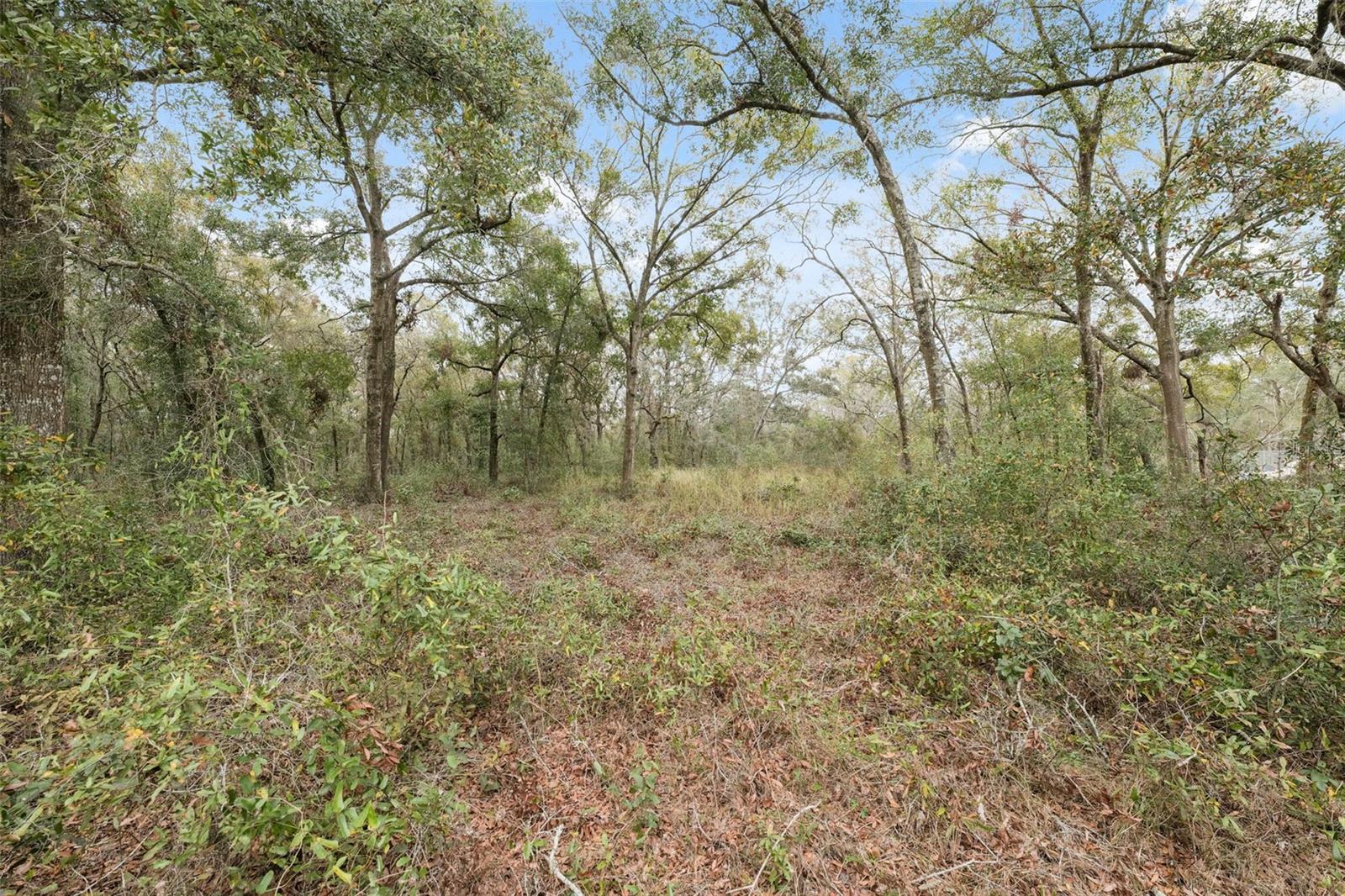 16308 Shady Hills Rd Property Photo 15