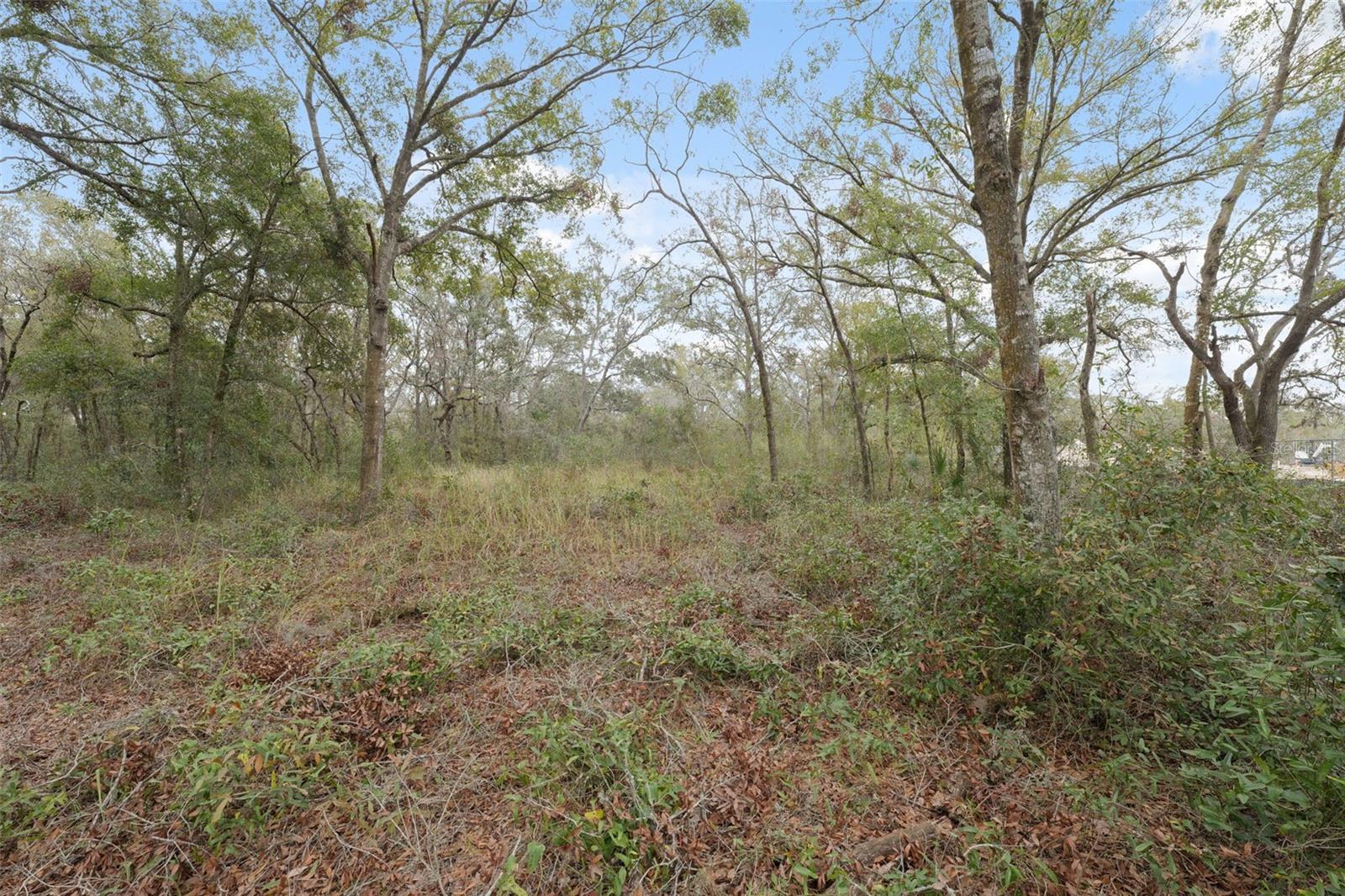 16308 Shady Hills Rd Property Photo 16