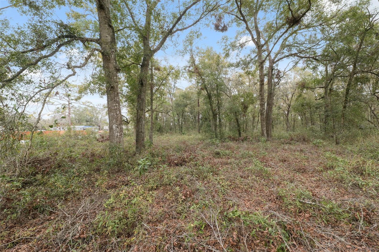 16308 Shady Hills Rd Property Photo 17