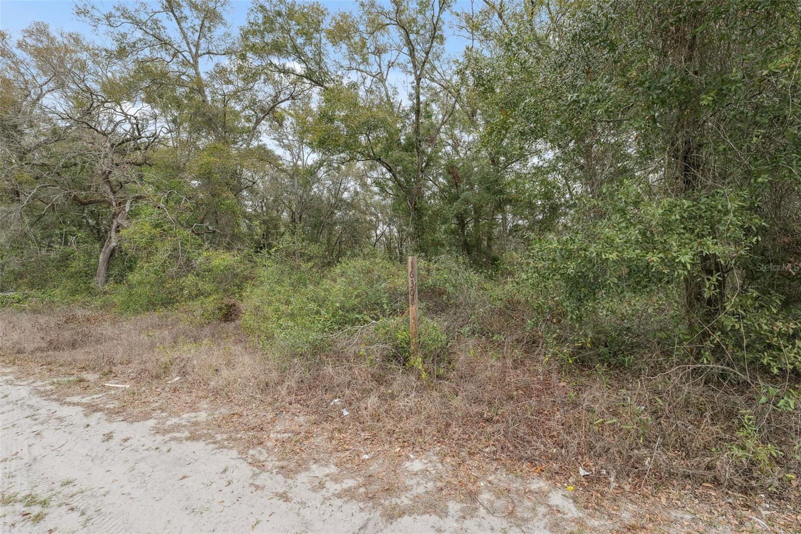 16308 Shady Hills Rd Property Photo 18