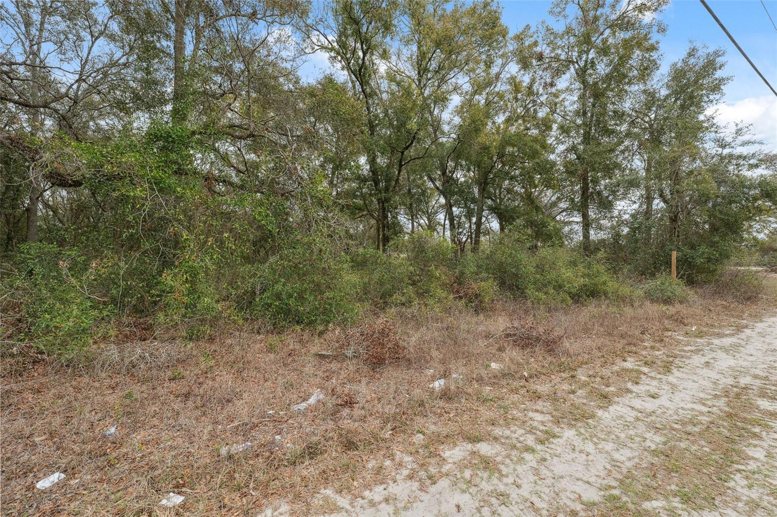 16308 Shady Hills Rd Property Photo 21