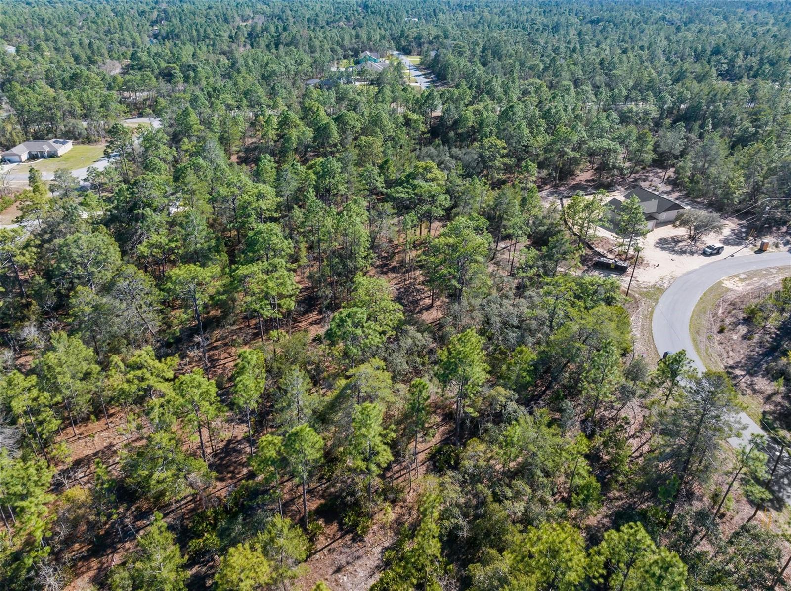 4029 W Abeline Dr Property Photo 4