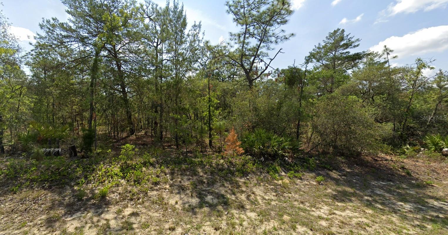 4029 W Abeline Dr Property Photo 7
