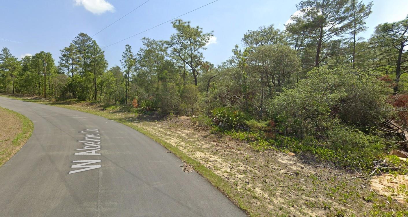 4029 W Abeline Dr Property Photo 11