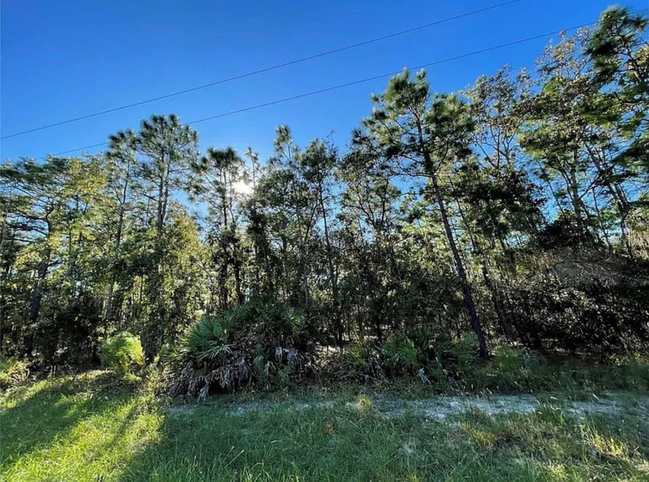 16 Mayten Ct N Property Photo 2