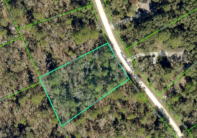 10520 Yellowlegs Ave Property Photo 1