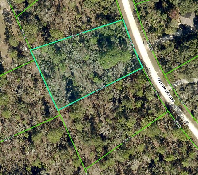 10506 Yellowlegs Ave Property Photo 1