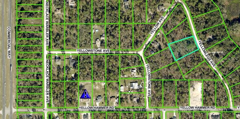 10506 Yellowlegs Ave Property Photo 3