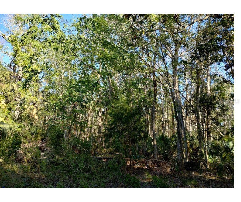 Indian Bay Rd Property Photo