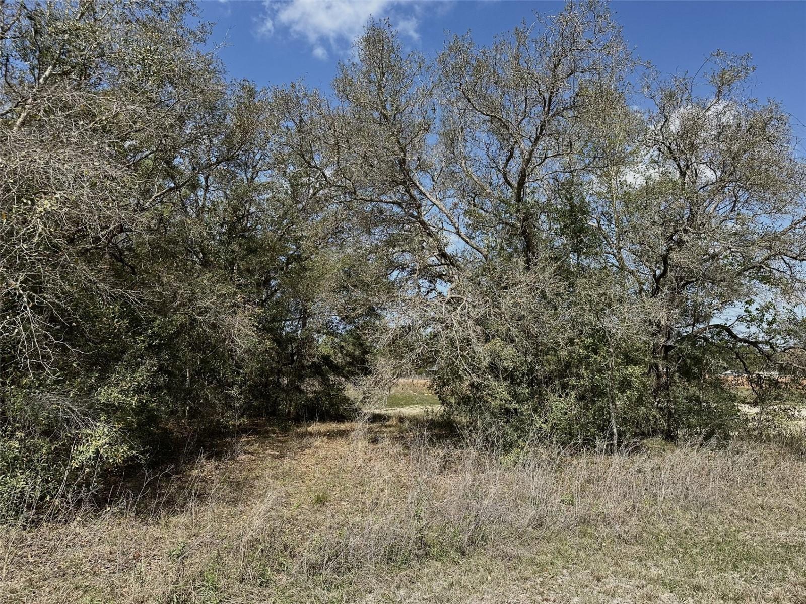 0 Courlan Rd Property Photo