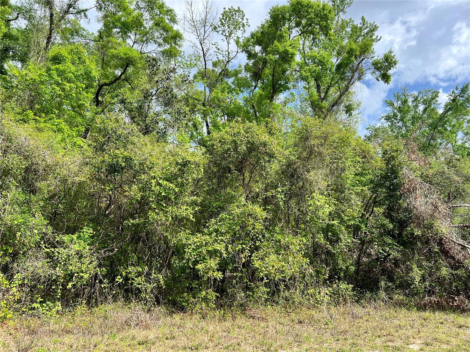 0 Ne 349 Property Photo