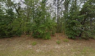 846 W Hemlock Dr Property Photo 1