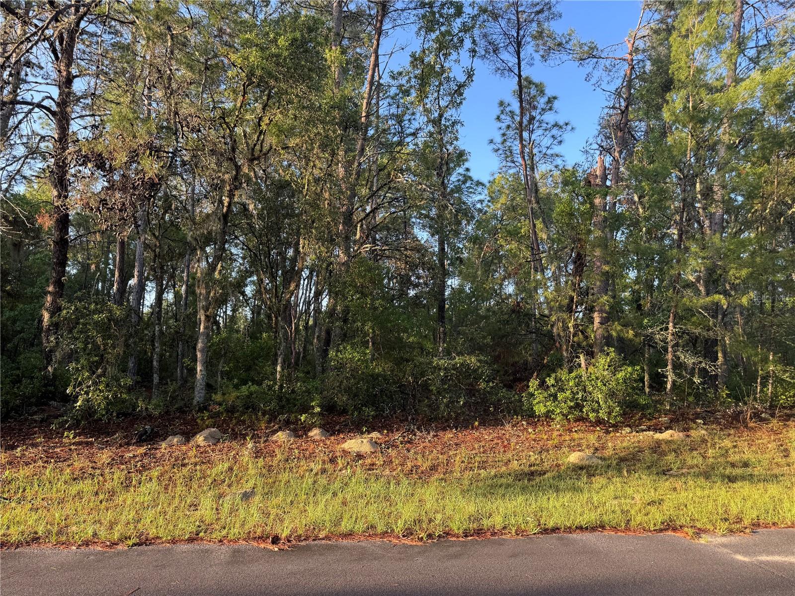 2 SW 179TH PLACE Property Photo 1
