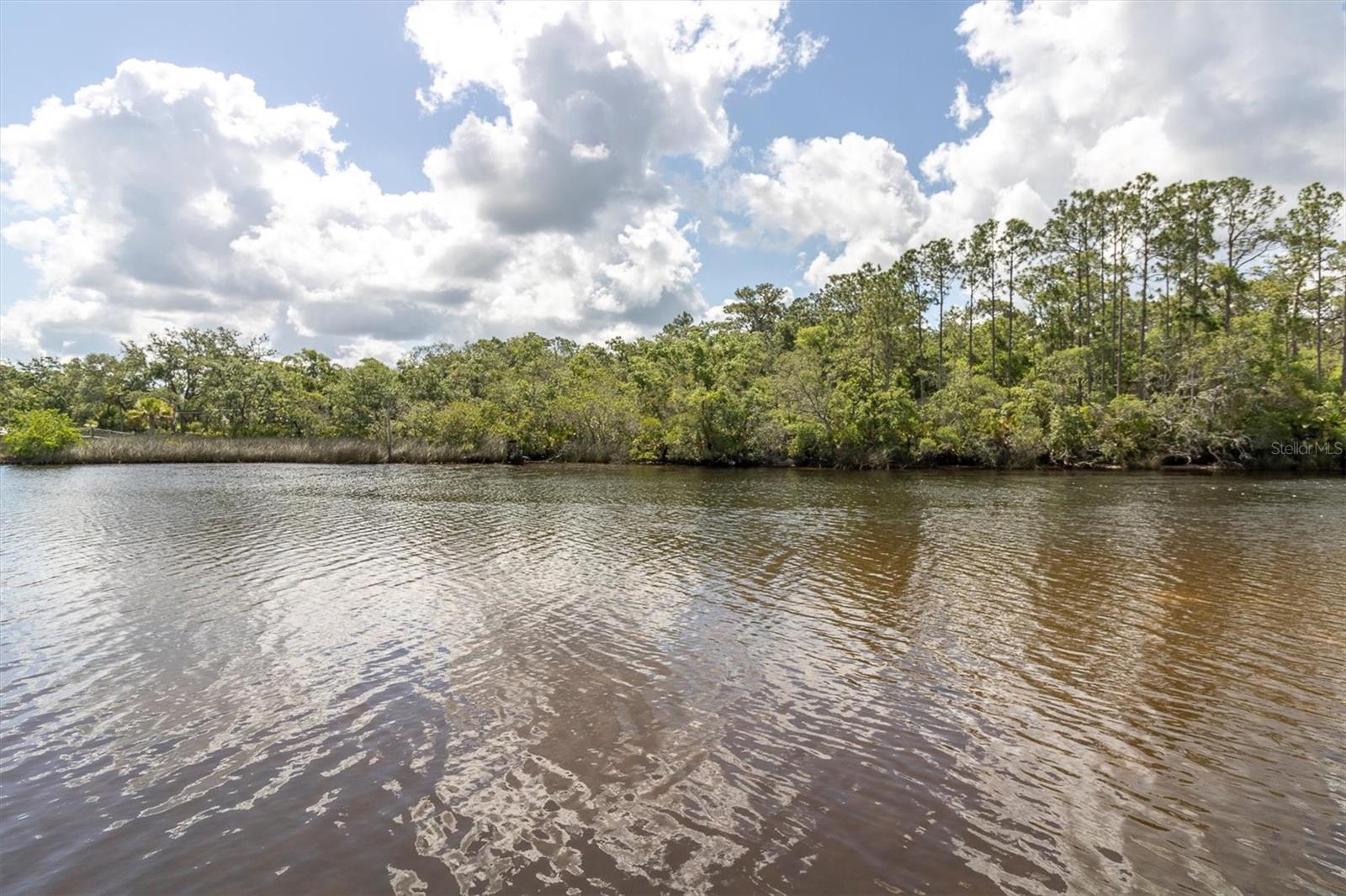 Flotilla Property Photo 4