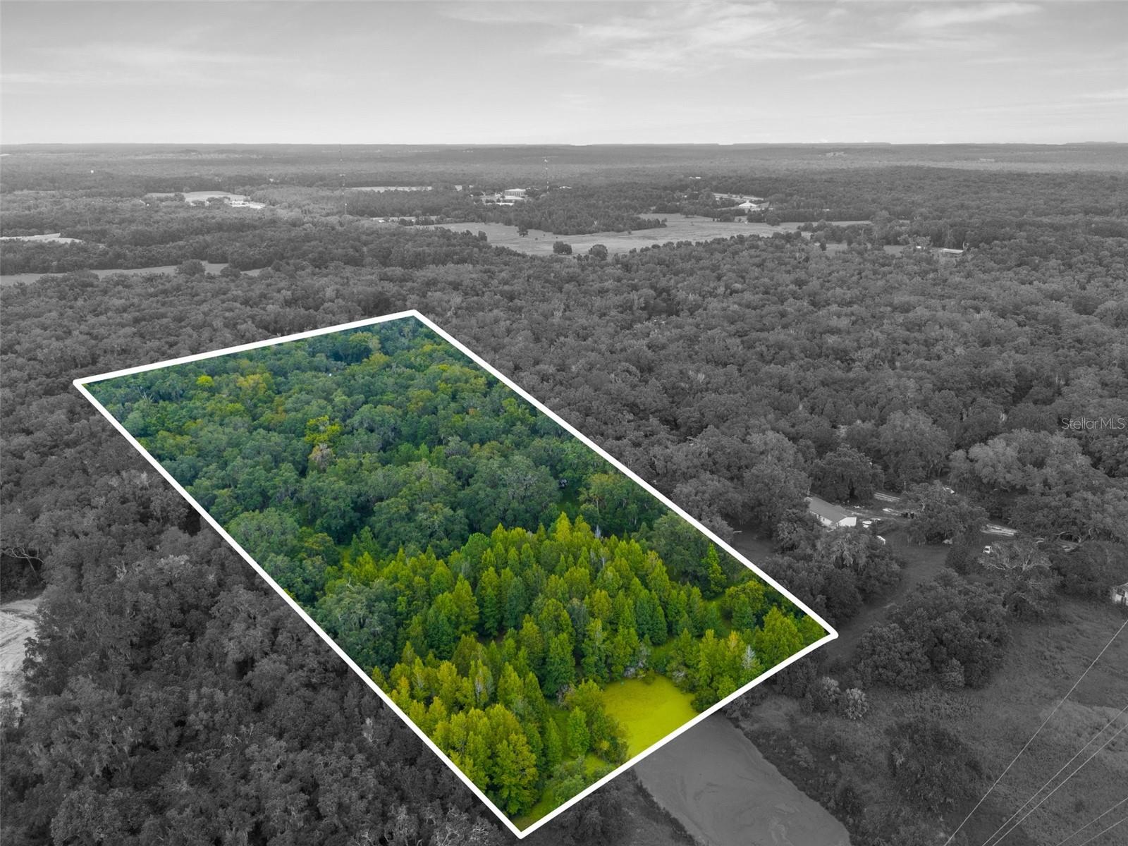 Rain Forest Rd Property Photo 2
