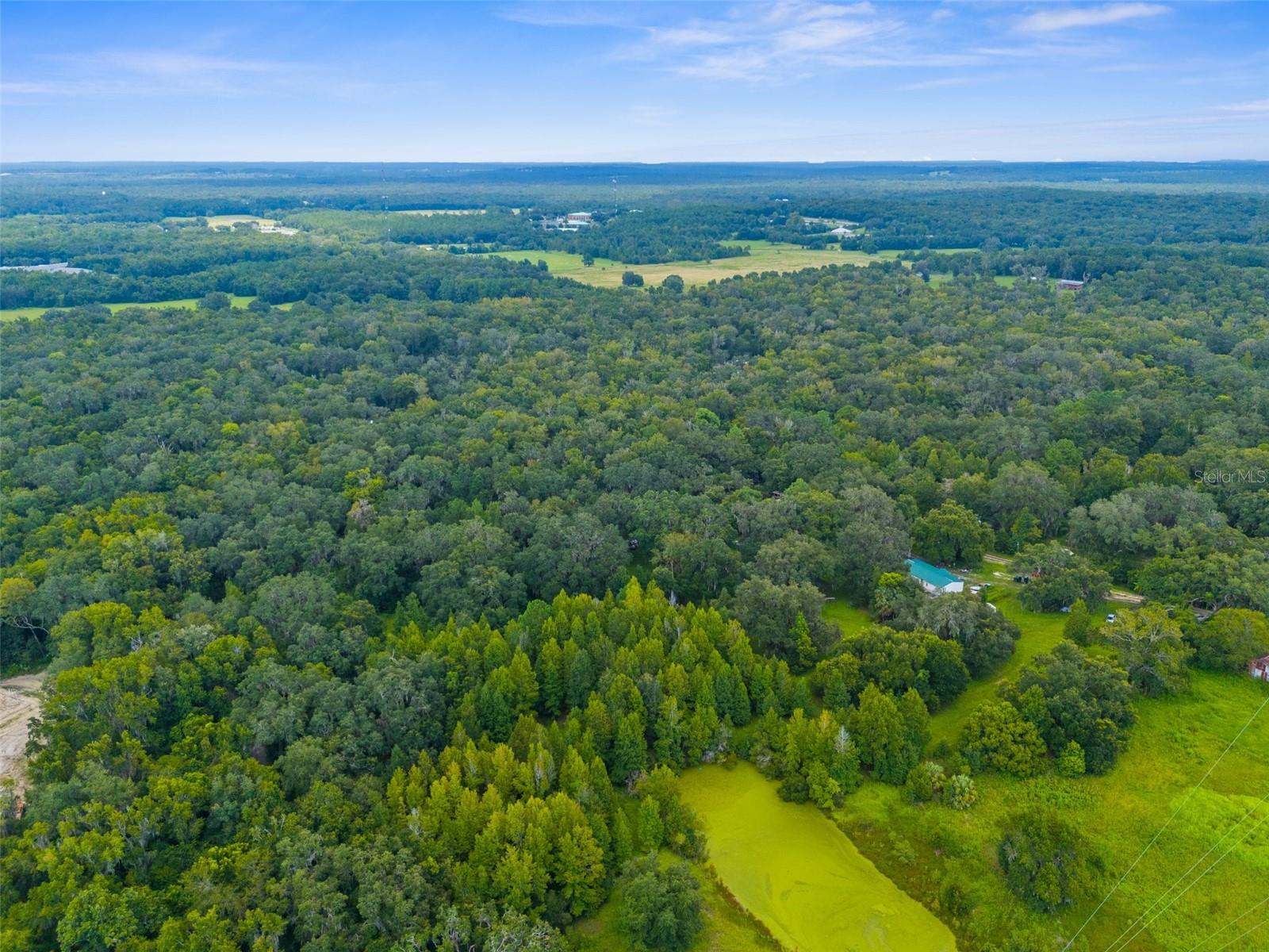 Rain Forest Rd Property Photo 4