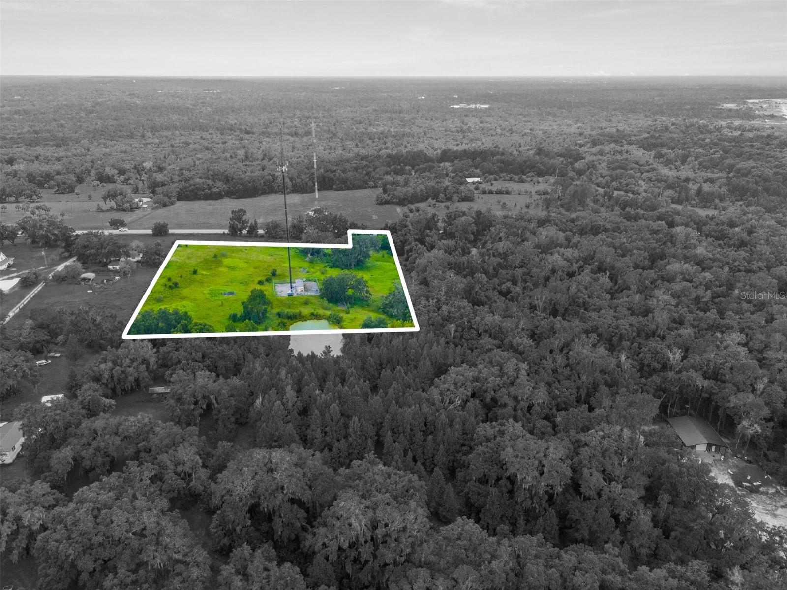Rain Forest Rd Property Photo 5
