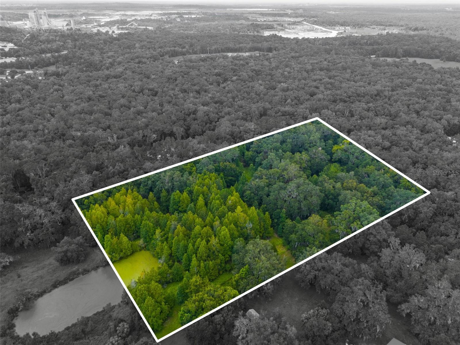 Rain Forest Rd Property Photo 6