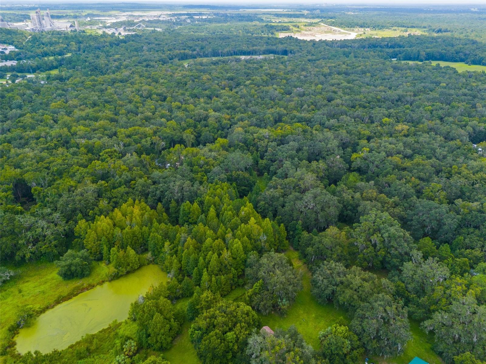 Rain Forest Rd Property Photo 9