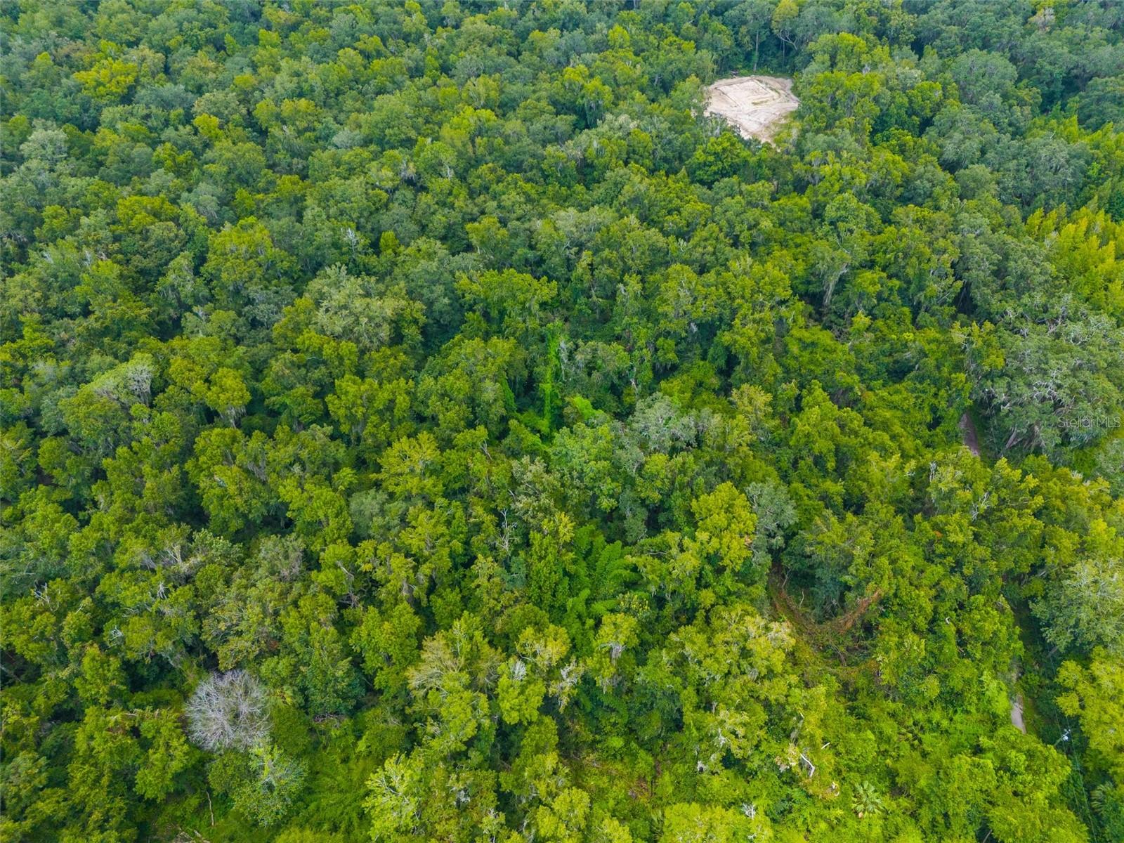 Rain Forest Rd Property Photo 10