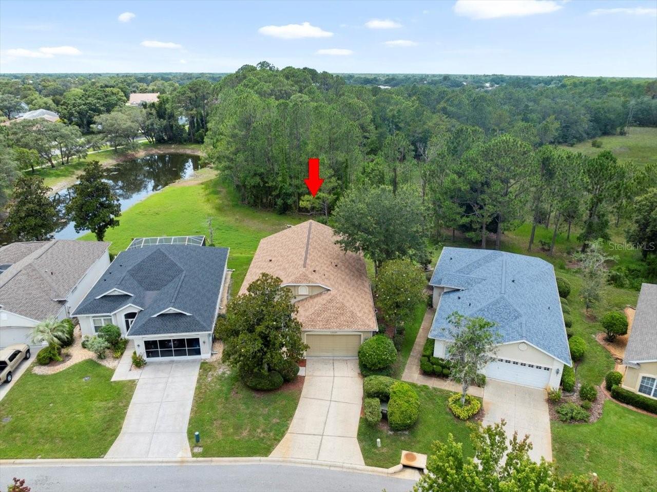10097 Holly Berry Dr Property Photo 1