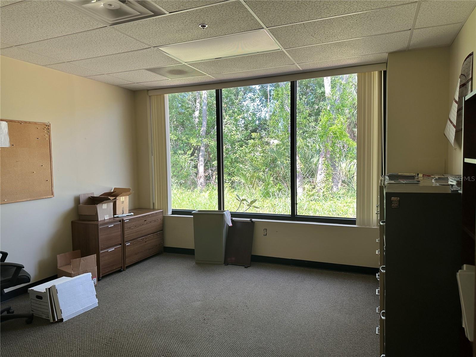 5620 W Sligh Ave Property Photo 3