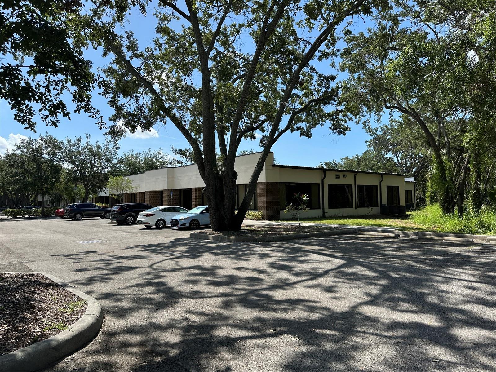 5620 W Sligh Ave Property Photo 7