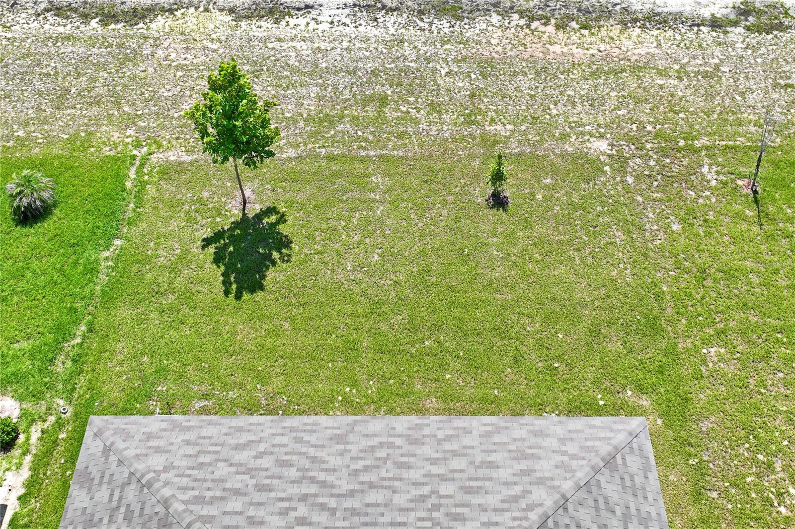 4041 Autumn Amber Property Photo 45