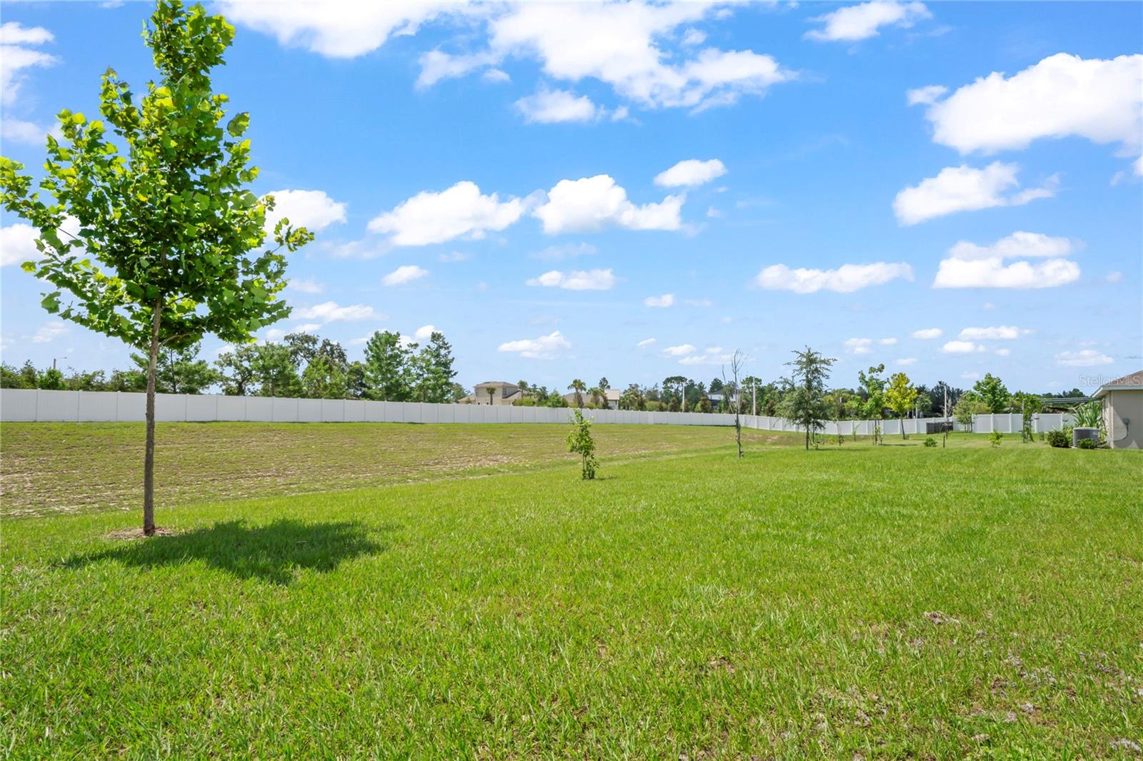 4041 Autumn Amber Property Photo 46