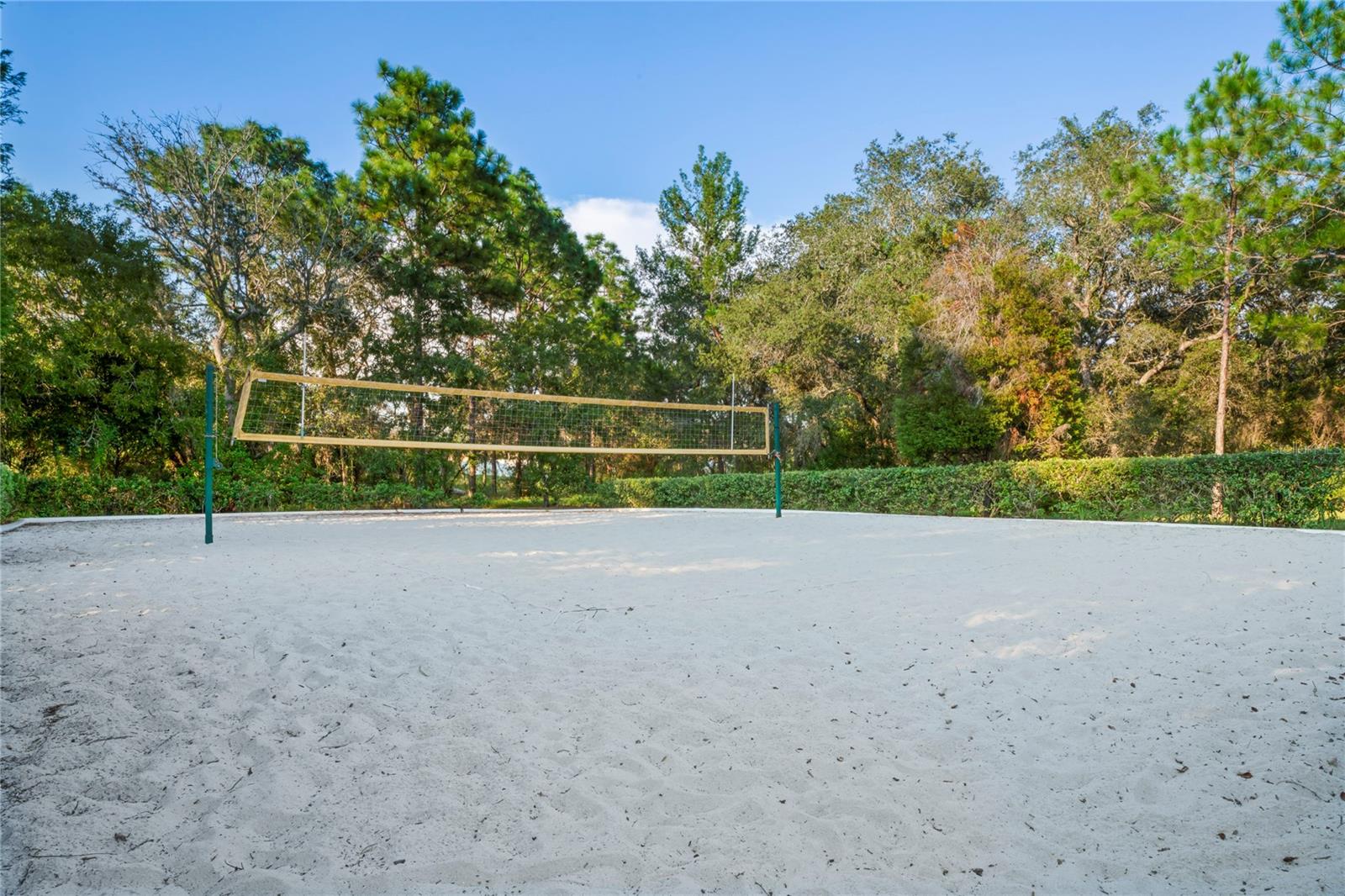 4041 Autumn Amber Property Photo 60