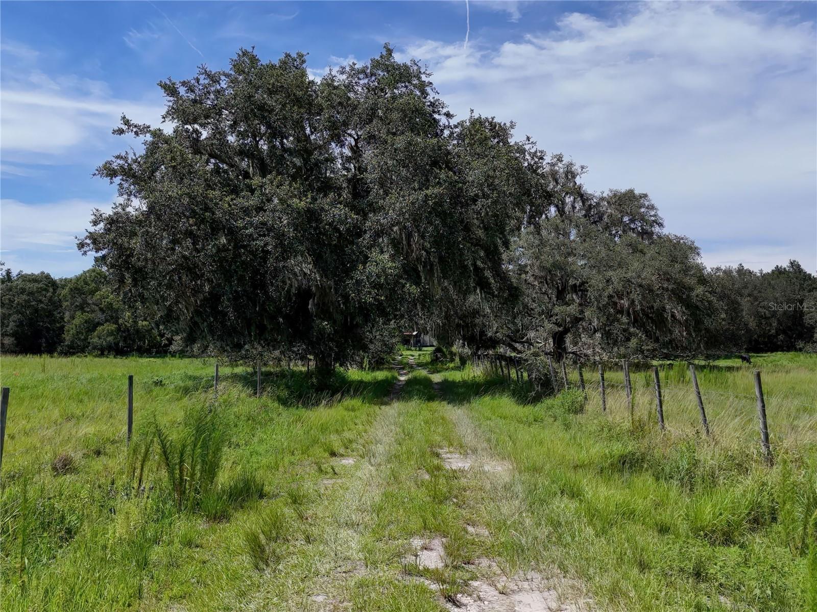 20089 Ayers Rd Property Photo 13